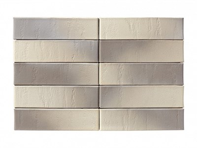 Кирпич RECKE облицовочный 1-81-00-2-00 1NF hERUt1epjprqS0-cd1bv50 - фото 52050