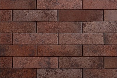 ТАЙГА МОРИОН СЕВЕР 0,5НФ qoBsqJzxjkjkNLUmosOak3 - фото 52245